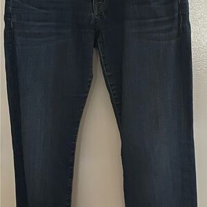 Hudson Jeans Blue Skinny Denim Flare!